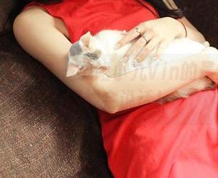 TGOD推女神 - 学姐小九Vin的最新作品，眼神会说话！
