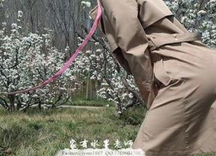 微密圈 - 家有水墨老师：秘书该有的风情，摄影师也只能甘拜下风